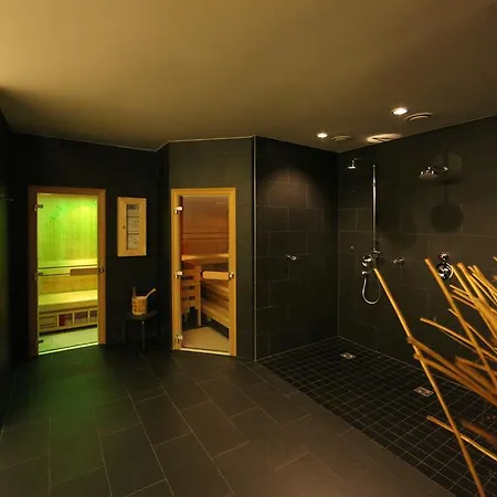 Haus Sonne Apartment Zell am See
